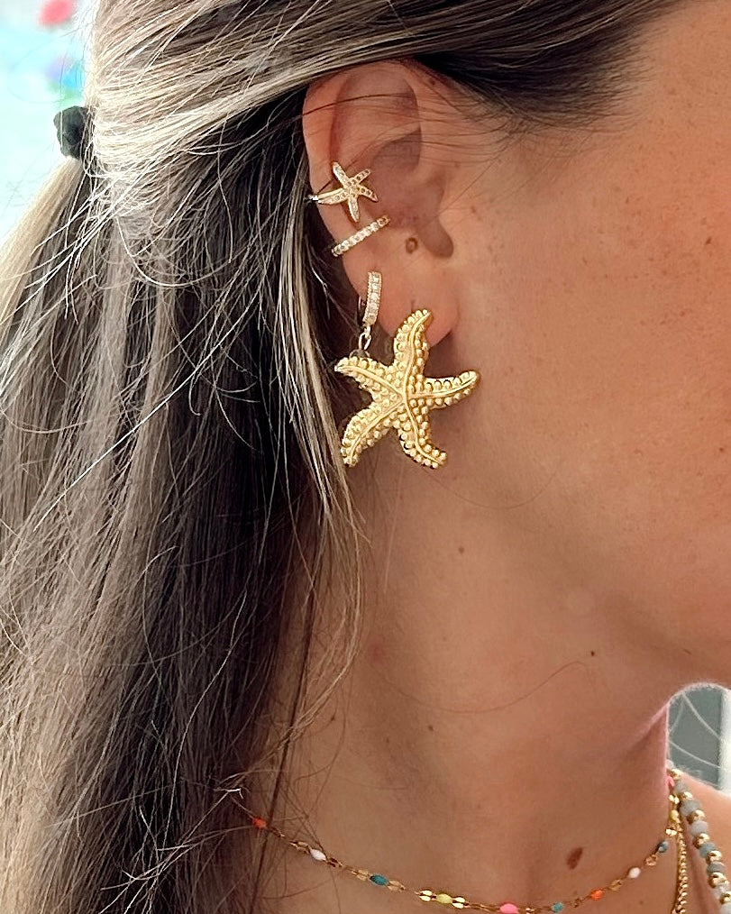 Jumbo Stainless Starfish Studs