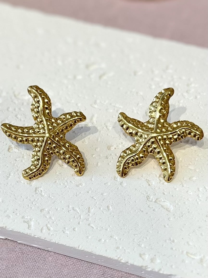 Jumbo Stainless Starfish Studs