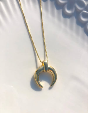 Box Chain Horn Moon Necklace